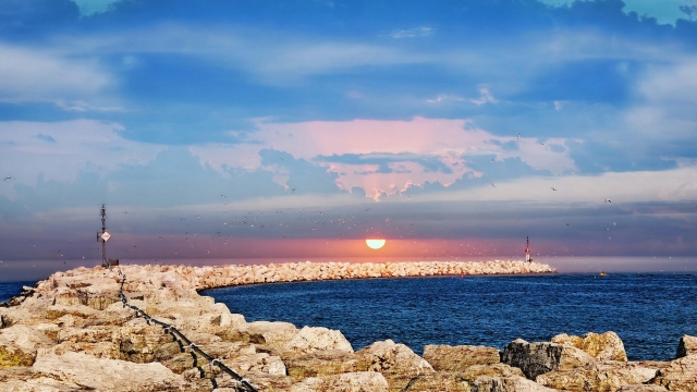 星空公司：工程花费和维护成本：塑胶跑道材料的经济优势