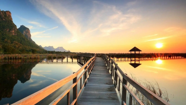 星空体育：乒乓球台内滚球